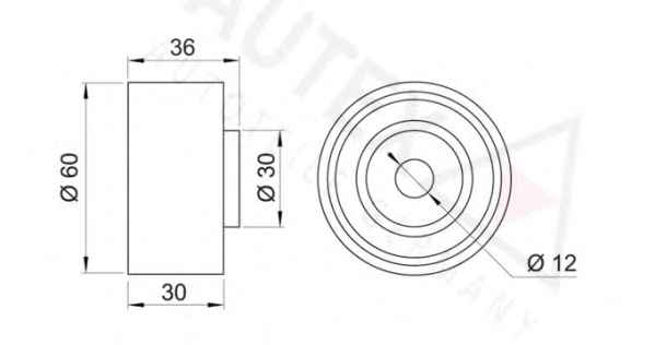 AUTEX 641817