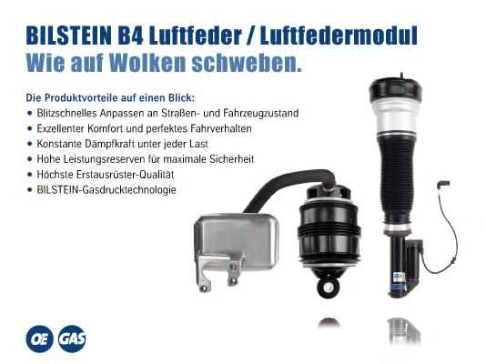BILSTEIN Bil_013239