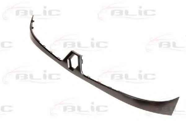 BLIC 6502-07-6010995P