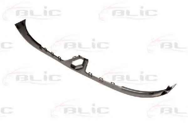 BLIC 6502-07-6010995P