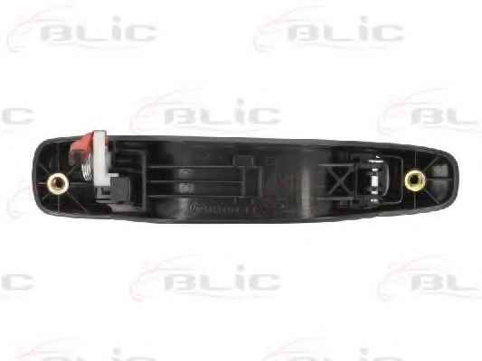 BLIC 6010-17-008403P