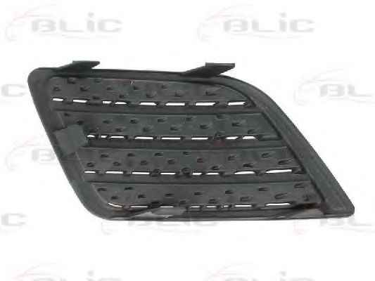 BLIC 5513-00-2564923P