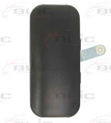BLIC 6010-03-025401P