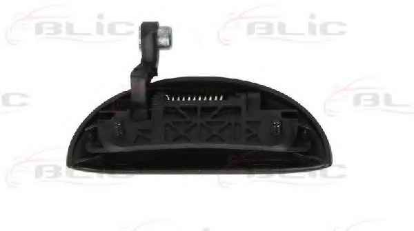 BLIC 6010-19-055403P