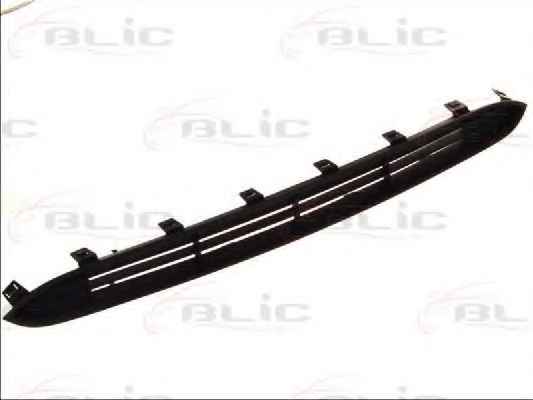 BLIC 6502-07-2019990P