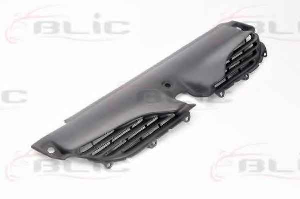 BLIC 6502-07-6049990P