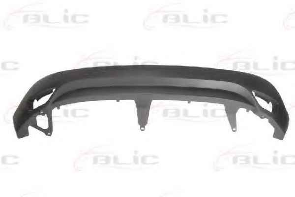 BLIC 5506-00-6046950P