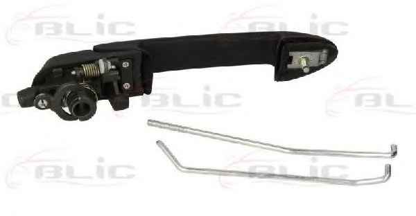BLIC 6010-07-019401P