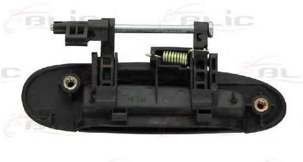 BLIC 6010-19-039403P