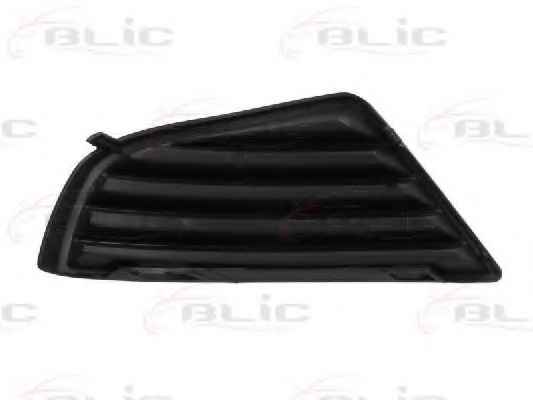 BLIC 5513-00-2555924P