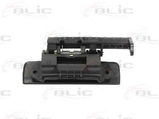 BLIC 6010-08-005402P
