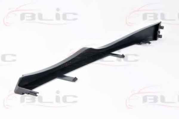 BLIC 6502-07-0061996P