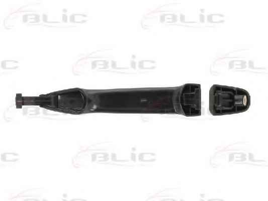 BLIC 6010-19-011402P