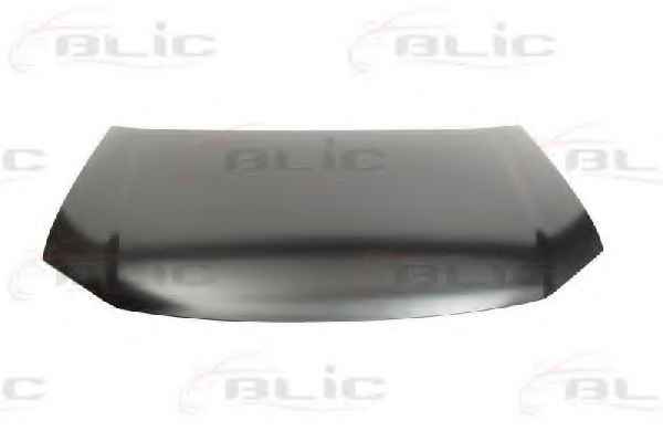 BLIC 6803-00-9545281P