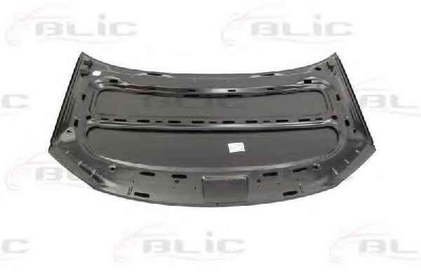 BLIC 6803-00-9545281P