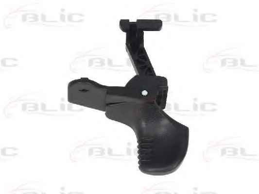 BLIC 6010-09-011402P