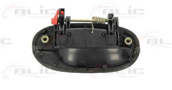 BLIC 6010-56-007403P