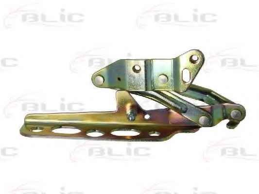 BLIC 6802-00-2555451P