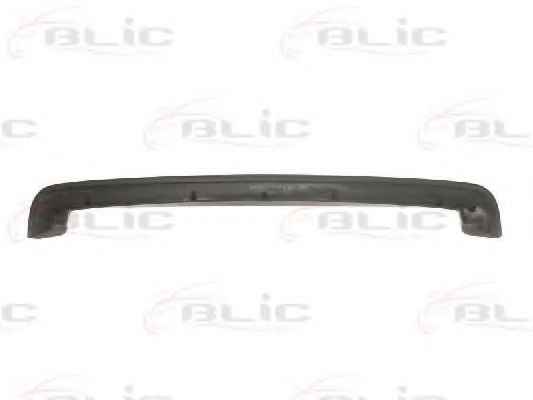 BLIC 5513-00-3126921P