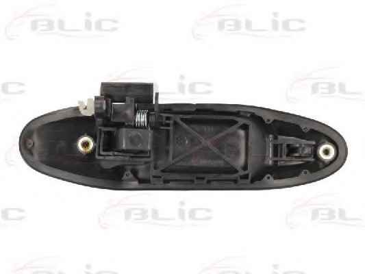 BLIC 6010-19-035403P