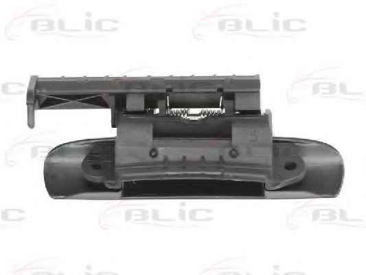 BLIC 6010-21-016401P