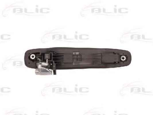 BLIC 6010-17-012402P