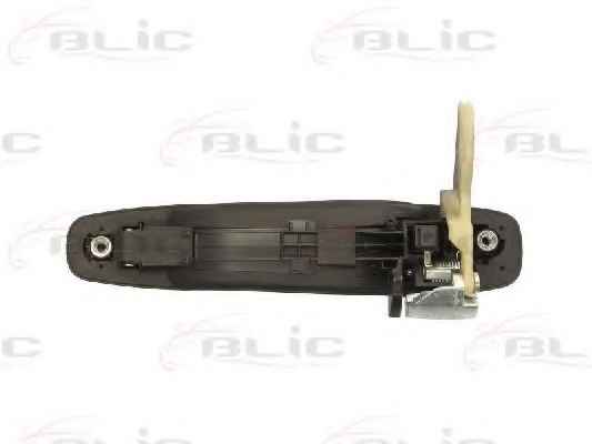 BLIC 6010-17-012403P