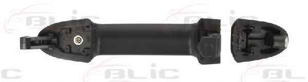BLIC 6010-20-032402P