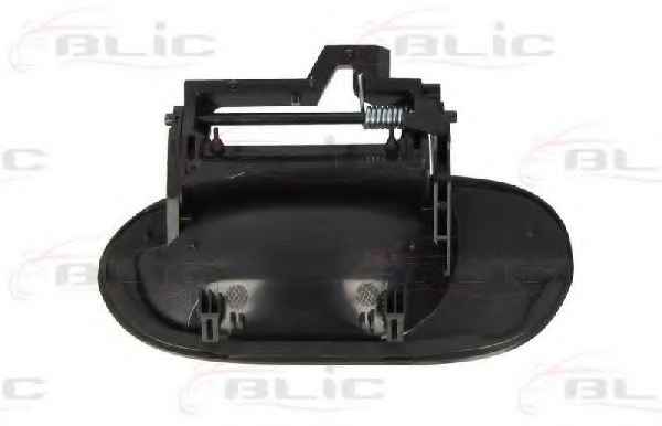 BLIC 6010-05-011402P
