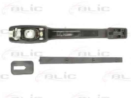 BLIC 6010-01-011401P