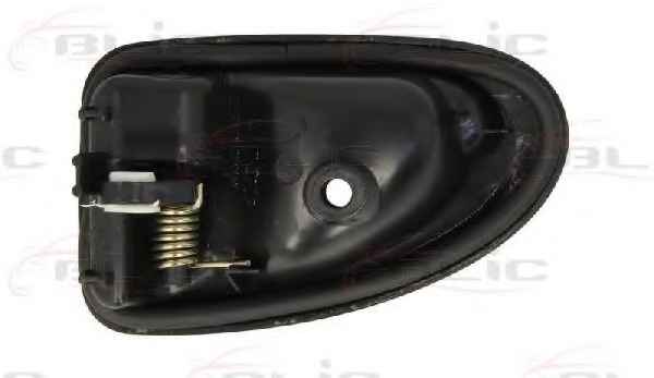 BLIC 6010-09-032409P