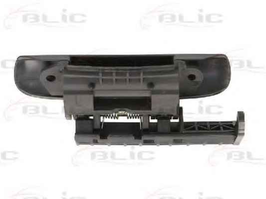 BLIC 6010-21-019401P