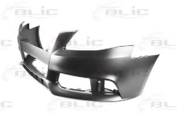 BLIC 5510-00-0029900P