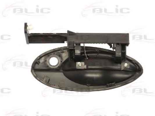 BLIC 6010-21-020401P