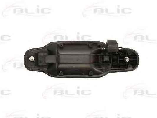 BLIC 6010-53-019404P