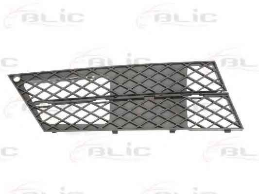 BLIC 6502-07-0066996P