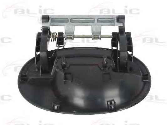 BLIC 6010-04-040403P