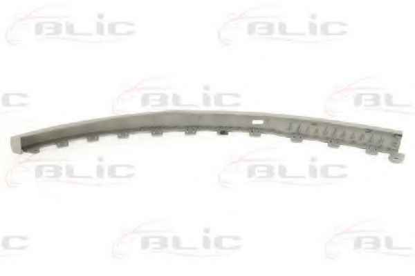 BLIC 6502-07-5024924P