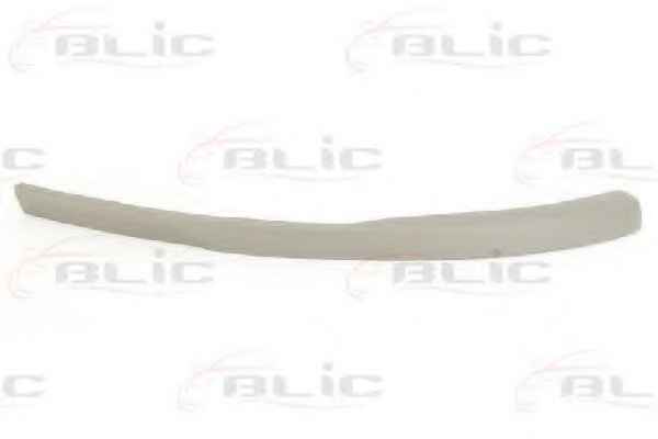 BLIC 6502-07-5024924P