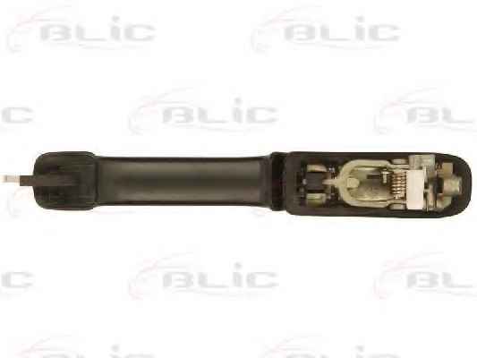 BLIC 6010-01-060404P