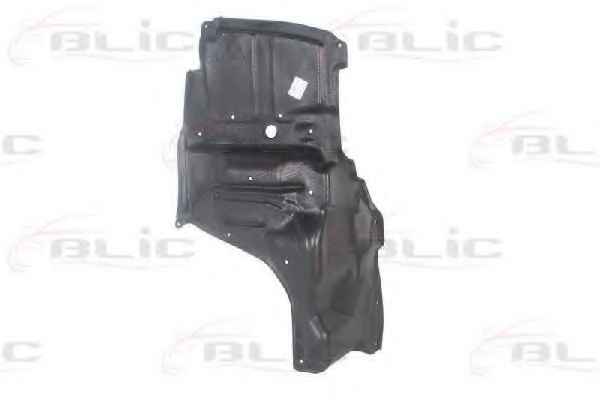 BLIC 6601-02-8116877P