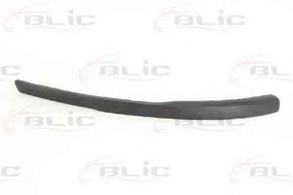 BLIC 6502-07-5024922P