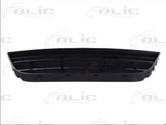 BLIC 6509-01-9506999P