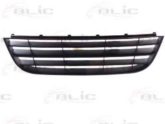 BLIC 6509-01-9506999P