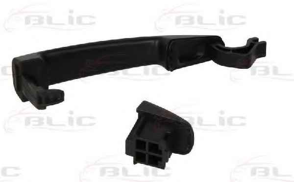 BLIC 6010-21-039402P