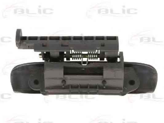 BLIC 6010-21-016403P