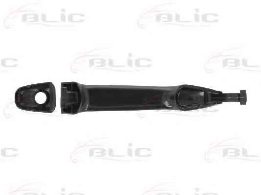 BLIC 6010-19-011401P