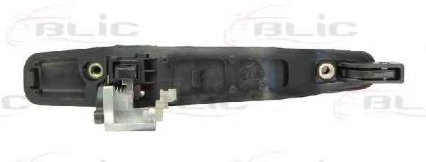 BLIC 6010-15-038404P