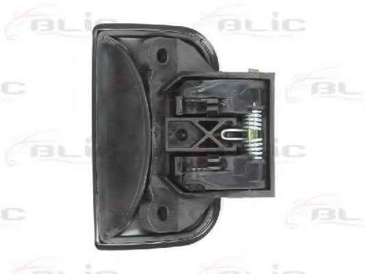 BLIC 6010-21-015405P