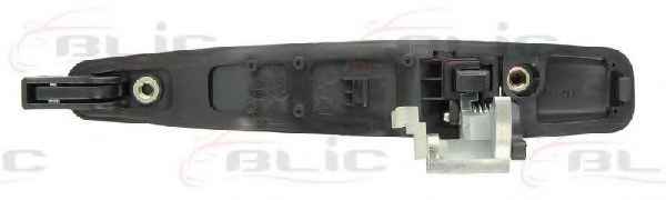 BLIC 6010-15-038403P